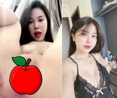 Bướm Đan Phượng cực kỳ xinh đẹp