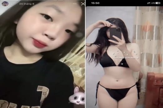 Thỏ quậy phá chỗ ẩn khuất ngon lành